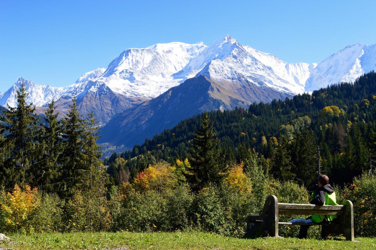 Seul sur un banc face au Mont Blanc une vue époustouflante !