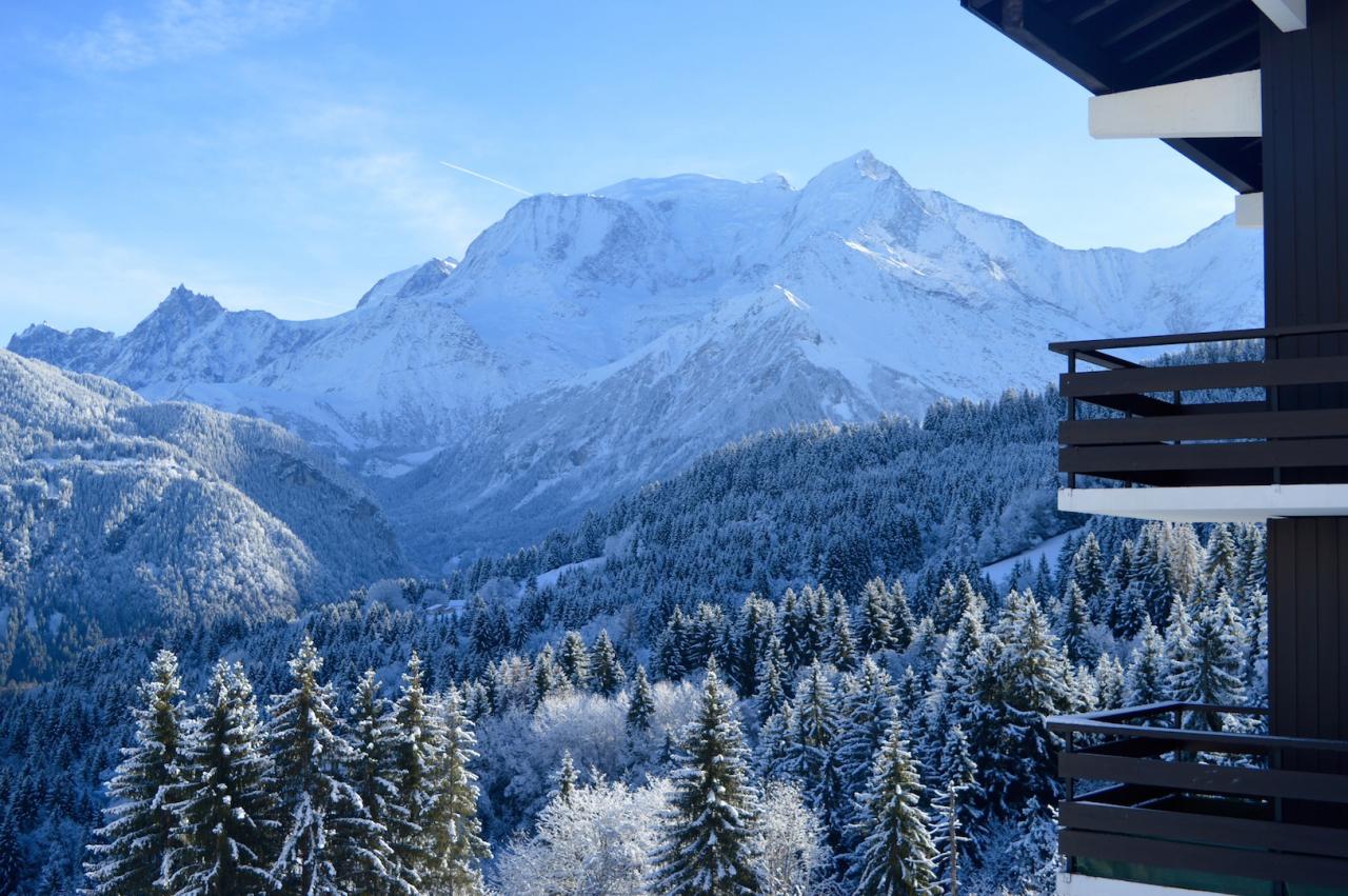 Magnifique Mont-Blanc
